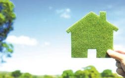 Grass house